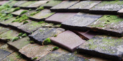 Gamlingay roof repair costs
